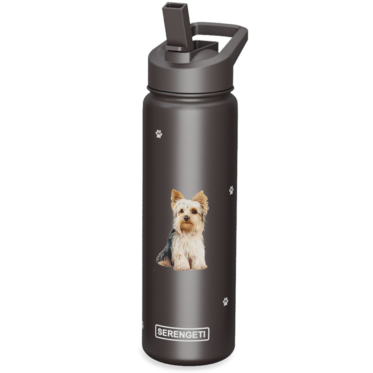 Yorkie not drinking water top